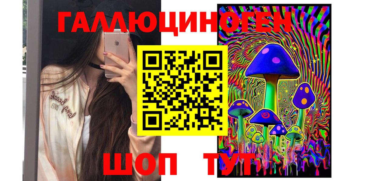 Екатеринбург  Галлюциногенные грибы MAGIC MUSHROOMS  где продают   Вход с VPN 
